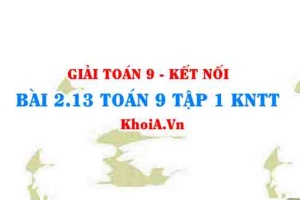 Bài 2.13 SGK Toán 9 tập 1 Kết nối tri thức